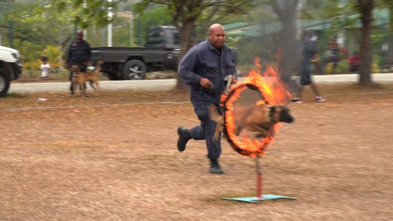 Training Image 1